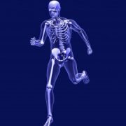 Skeleton image