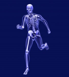 Skeleton image